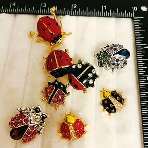 Mixed Ladybug Insect Brooch Set – Colorful Enamel & Crystal Pins